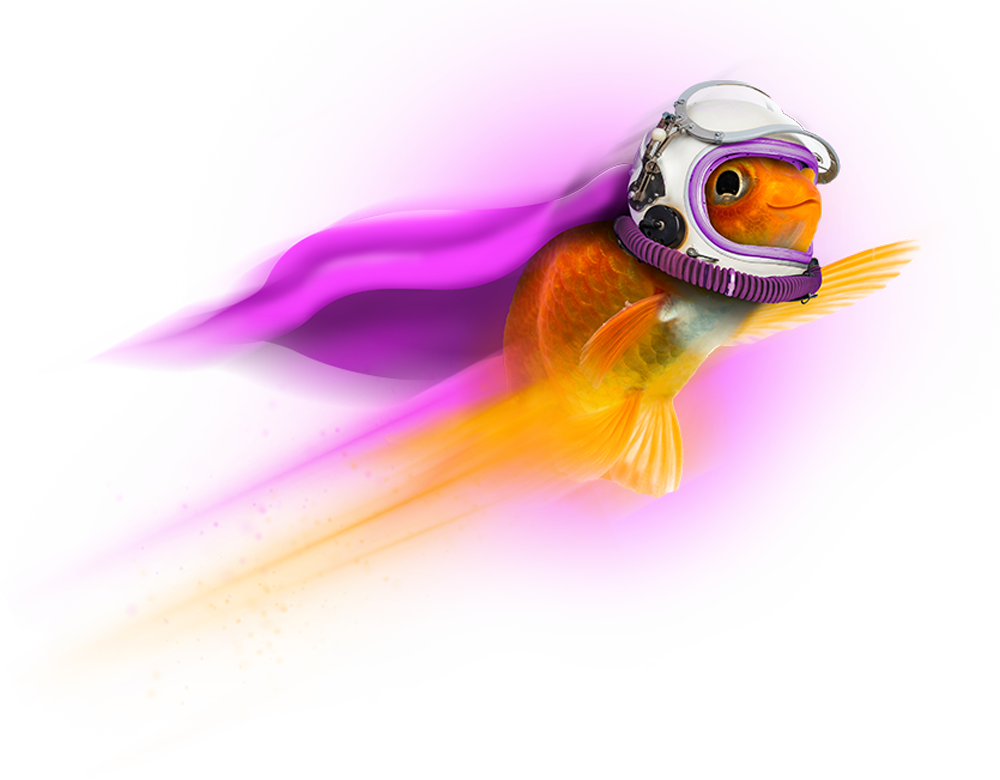 jabs consulting - agile Transformation Fisch Starte jetzt die agile Transformation deiner Organisation.
