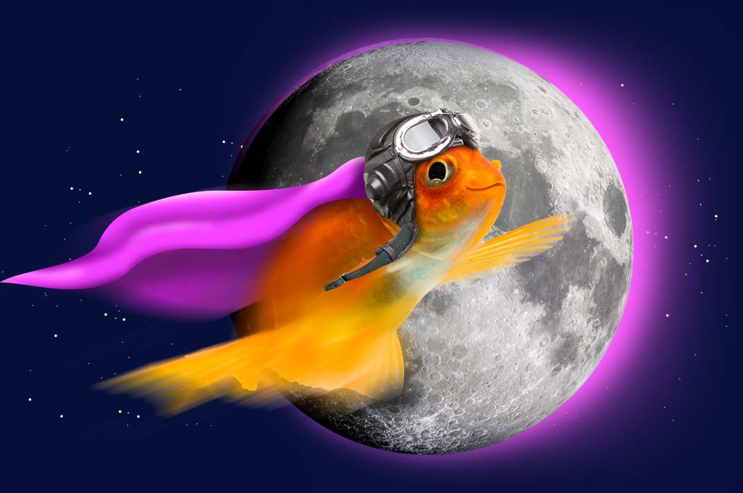 Goldfisch mit Helm und lila Umhang fliegt vor dem Mond